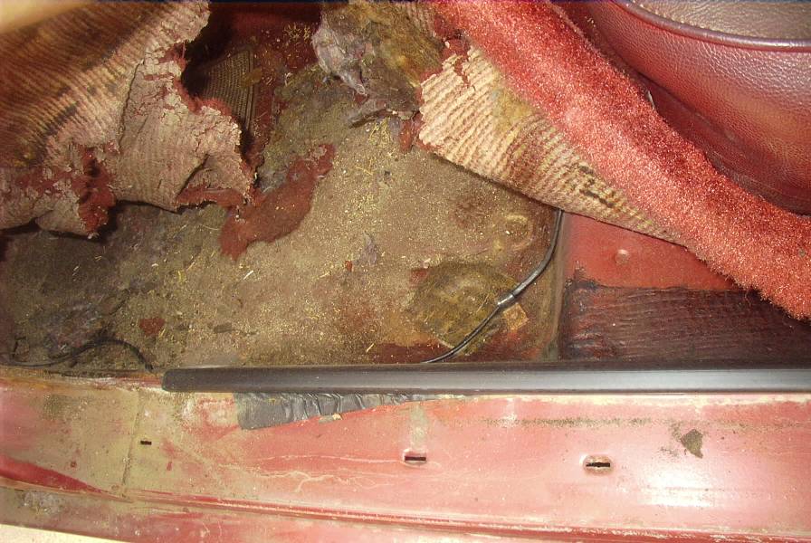 Gremlin Body Repair Picture 5